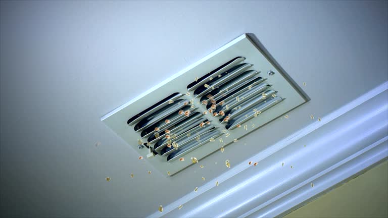 Best Affordable Duct Cleaning Services  in Osburn, ID