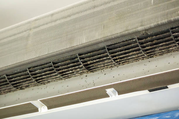 Best HVAC System Cleaning  in Osburn, ID